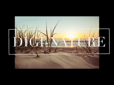 1 hour ASMR Beach Ambient Nature Sounds of Birds and Waves With changing Scenery