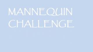 Mannequin Challenge (Surprise for Teachers)