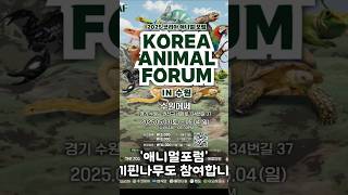 애니멀포럼  in 수원메쎄. 5월3일~4일  양일간 진행하는 애니멀포럼에 이끼핀나무도 참여합니다. #애니멀포럼#수원메쎄#정글식물#테라리움#체험#terrarium#파충류