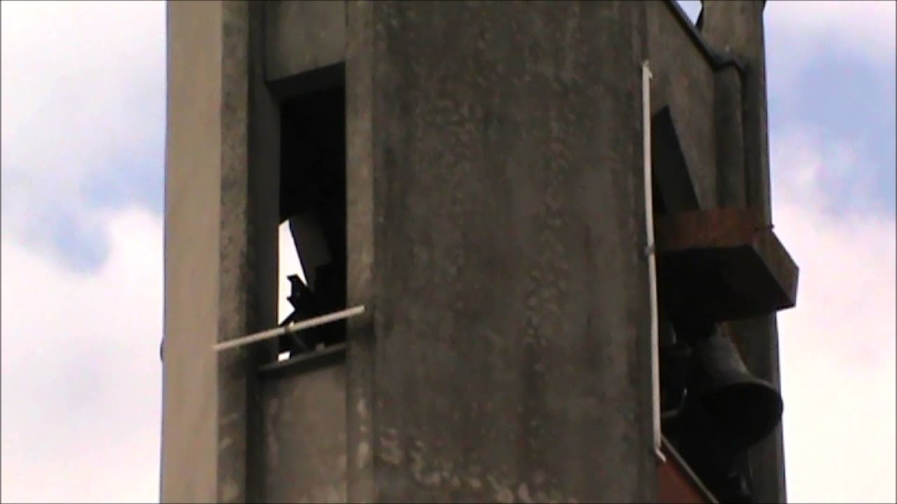 Le campane di Villaggio Brollo, Solaro (MI)