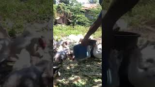 361st Day  Watch It Here Httpsyoutubeokmtrfkbofusikhpjbrdjq1h2l082