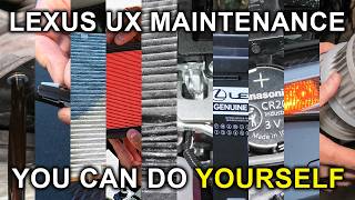 Lexus UX (2019-2026): 10 Easy Maintenance Procedures You Can Do Yourself!