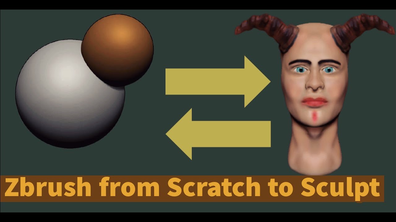 How to Sculpt Head with Dynamesh in Zbrush scratch-part 1 - YouTube