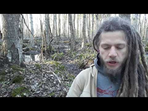 Робин Славный Малый английский фольклор