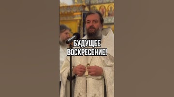 Будущее воскресение! Отец Андрей Ткачёв #shorts