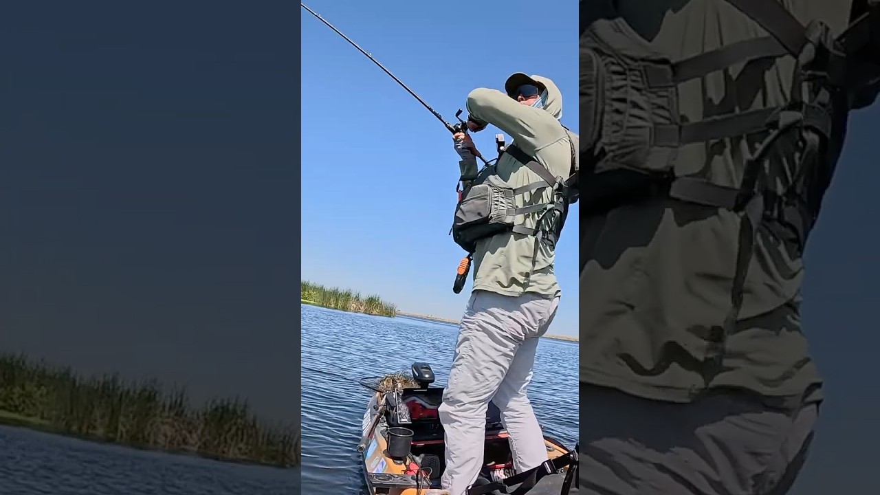 Fighting for a Big One on the Delta! 💪🔥 