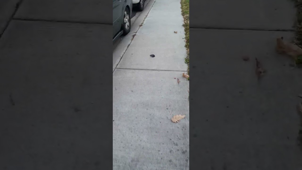 metal pipe noise knida #hi