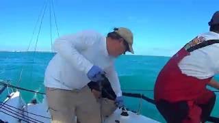 Key West Race Week | Ullman Sails J-70
