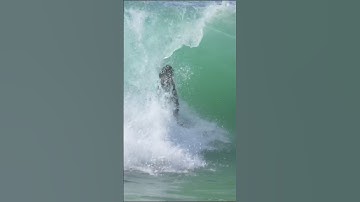 Zac Henderson on the wave of the day #skimboarding #surf #surfing #surfingwaves #wavesurf