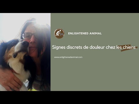 Signes discrets de douleur chez les chiens