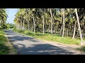 ஒரு ஏக்கர் தென்னந்தோப்பு விற்பனைக்கு கிணத்துக்கடவு | 1 Acre Coconut farm land Sale in Kinathukadavu.