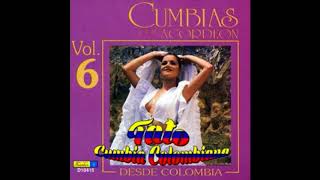 Video thumbnail of "Bailando Cumbia - Andres Landero y Su Conjunto"