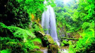 VIDEO PEMANDANGAN - Video Latar Tanpa Suara -  BEBAS UNDUH - VIDEO = 308