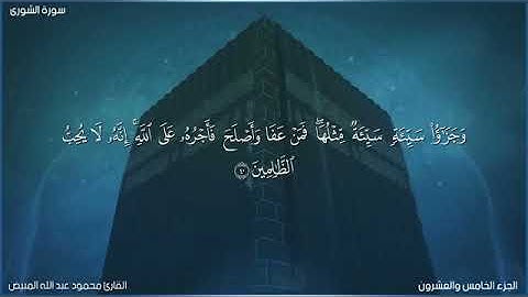 من سورة الشورى 37-43 بصوت الشيخ محمود المبيض (جودة عالية)