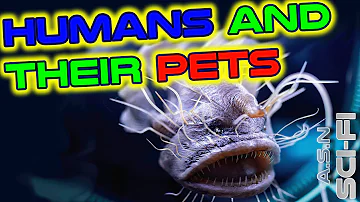 They did what? - Pets | Best of r/HFY | 1924 | Human are Space Orcs | DeathWorlders are OP