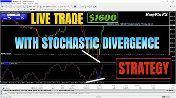 Stochastic Divergence Day Trading Strategy || Easy $1600 in 10 Minutes || #HighWinRateStrategy