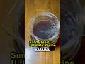 Sunda Gulali dari Dunia Kopi Santa dengan Ultimate V60 Technique dari James Hoffmann