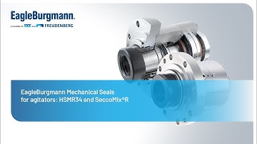 EagleBurgmann mechanical seals for agitators: HSMR34 and SeccoMix R