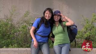 Funniest Japanese Girls Prank - Just For Laughs Gags
