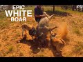 EP.10 Wild boar hunting with dogs | WATCH TILL THE END! For a sneak peak of upcoming project!