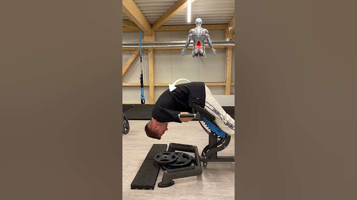 So macht ihr aus einem Gerät zwei unterschiedliche Übungen‼️ #hyperextension #rückenstrecker #po