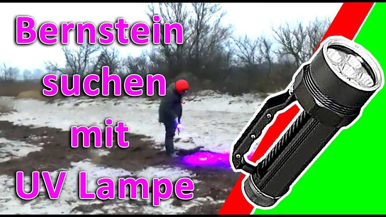 UV Taschenlampe für Bernstein Test: Die 5 Besten im Vergleich