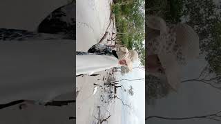Topi Pantai+Song Hindia