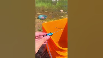 Gỡ lưỡi câu cá diếc chép inox đa năng siêu tốc fishing hook remover #3🎣#fishing #shorts