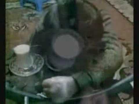 cesur yürek (batsın bu dünya)