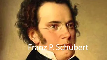 Dove è morto Schubert?