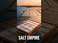 How Venice Built an Empire on Salt