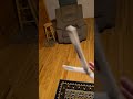 Broken Frank-P! #balisongtricks #balisongtrainer #balisongcombo #balisong