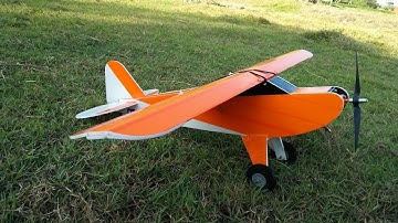 FT Simple Cub Fun Fly