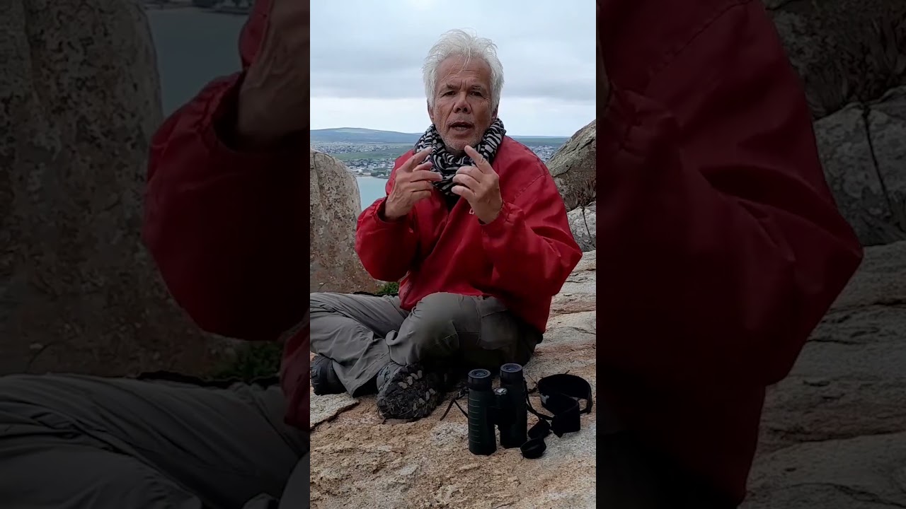 Finding peace in nature