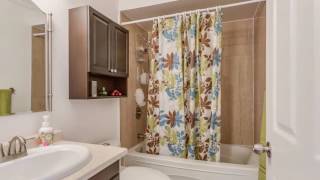 80 Ecclestone Drive - Brampton