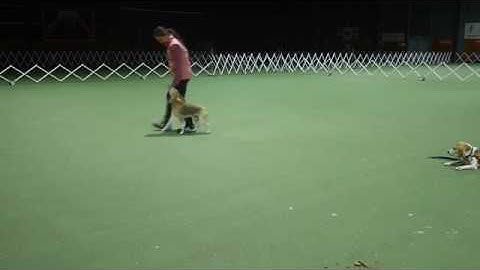 Mint - sustained hand touch in heelwork