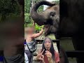 5 Tips for Visiting an Ethical Elephant Sanctuary in Chiang Mai