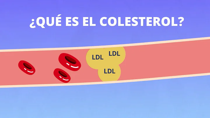 Descubre todo acerca del colesterol: funciones, tipos y cuidados