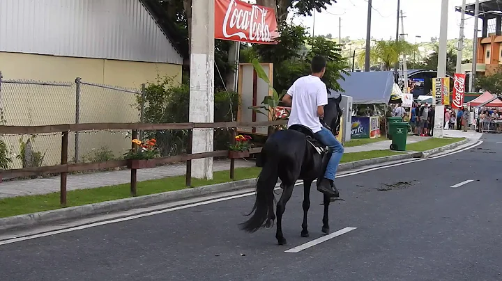 Caballito Negro , Cayey