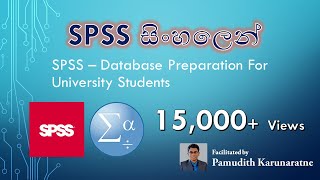 SPSS Database Preparation - Sinhala / SPSS Database හදන හැටි සිංහලෙන් screenshot 5