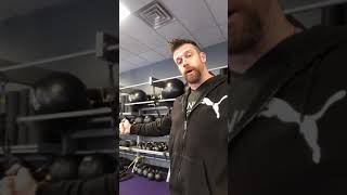 TRX reverse fly and row