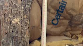 Termite Damage
