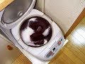 「お前誰だよ」ってツッコミたくなる猫ちゃんがじわじわ面白くてヤバいｗ～A cat who wants to say "who are you" is interesting.