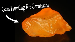 *Carnelian Agate* - Found on the Thompson River.
