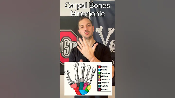 Carpal Bones Mnemonic! Best Way to Remember The Bones and Their Locations! #shorts #bones #hand