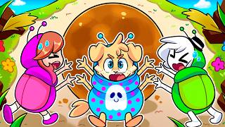NOS CONVERTIMOS en ESCARABAJOS de POPO🌄🌑🐞SOYDANY en DUNG HO!