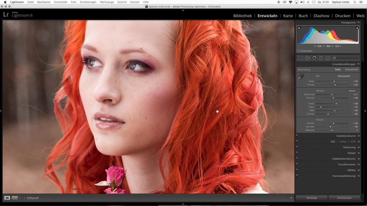 Lightroom - Autumn Presets