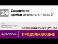 Склонение прилагательных без артикля в немецком языке. Часть 2. Урок Инны Левенчук