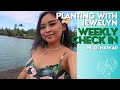 Planting with jewelyn home in hawaii next pop up  collection update