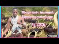 Mbuga Limbu Luchagula Jumbe Wa Makalanga 1 1 2026 Mpya